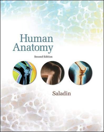 Human anatomy - human,