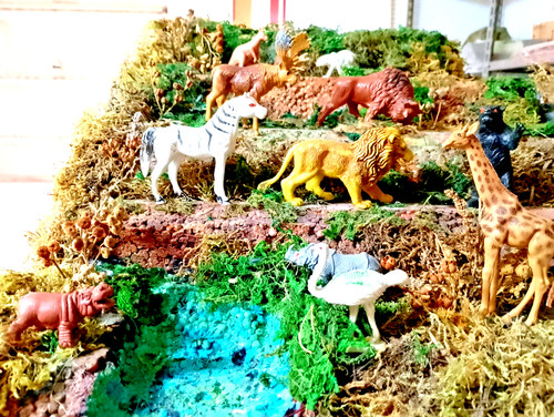 Lotto animali esotici - lotto,