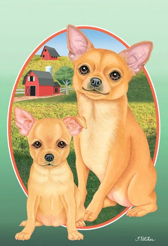 Bandiera decorativa chihuahua - bandiera,