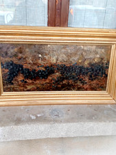 Adolfo Feragutti Visconti