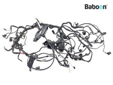Cablaggio BMW R 1200 RT