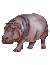 6 x adesivi auto sticker