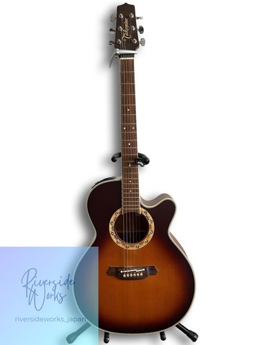 Chitarra acustica elettrica