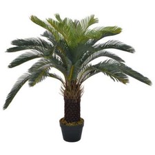 vidaXL Palma di Cycas