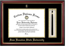 Sam houston state scatola - sam,