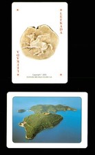 1 x Joker playing card Greece