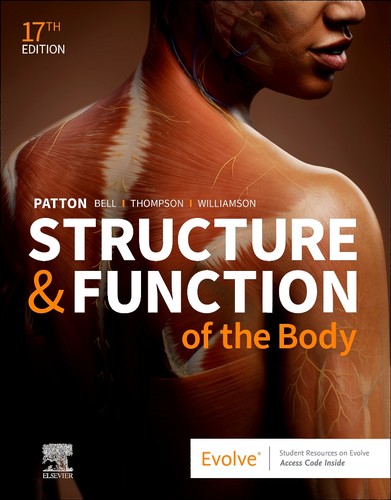 Structure function of the - structure, &