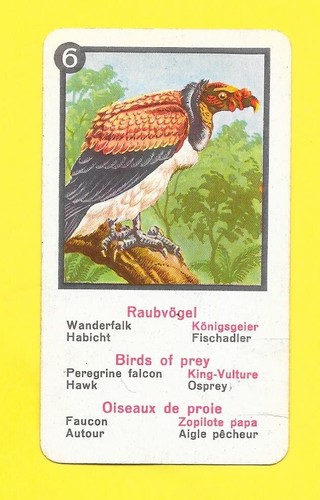 Carte allemande oiseaux de - carte,