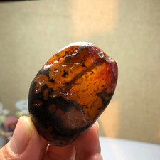 Bonsai Naturale 57g Suiseki