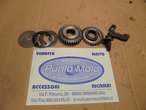 Ingranaggi pompa olio motore