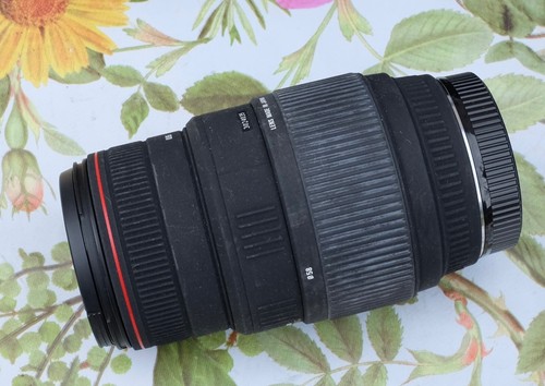 Sigma 300 6 apo dg - sigma, 70-300