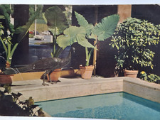 🟢Vintage Cartoline