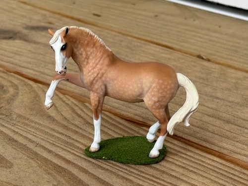 Custom dappled palomino - custom,