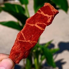 Campioni minerali marini