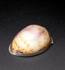 TABACCHIERA ANTICA IN ARGENTO E CONCHIGLIA PORTA TABACCO ANTIQUE SNUFFBOX