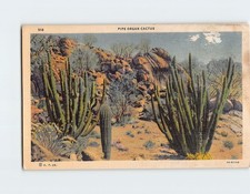 Cartolina organo a canne cactus