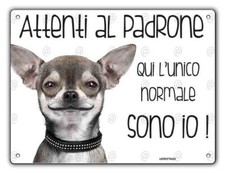 Cartello cane Chihuahua