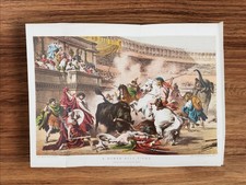 Litografia libro a colori