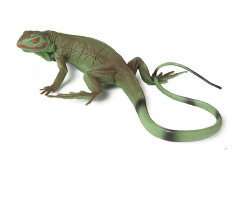 Lucertola squamata cm - lucertola, 17