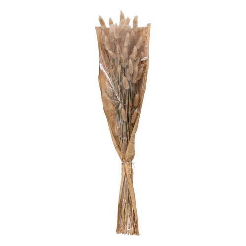 Bouquet fiori secchi - , bianco