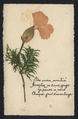 Cartolina fiori secchi fiore - fiori,