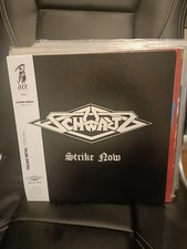 Strike Now – Schwartz 2013