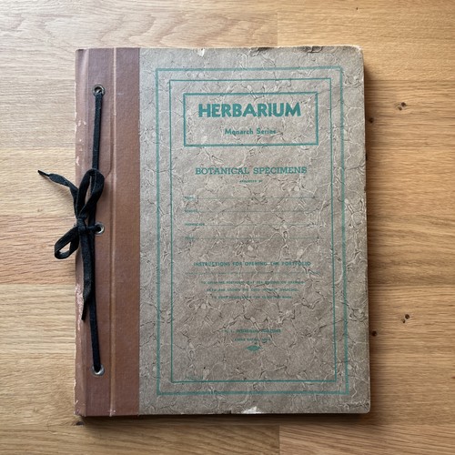 Antique herbarium monarch - herbarium,
