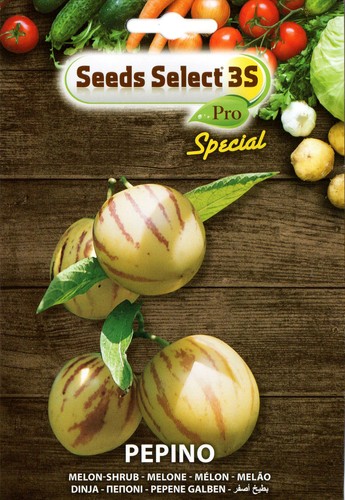 Semi seeds pepino - semi,