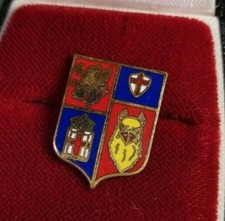 SPILLA DISTINTIVO PINS CALCIO