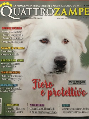 Quattrozampe 2021 158 pastore - quattrozampe,