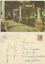 ABANO TERME -PADOVA -TERME VILLA PIAVE -VIALE DI DATURA ARBOREA  CARTOLINA