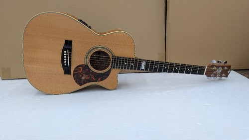 Custodia rigida chitarra