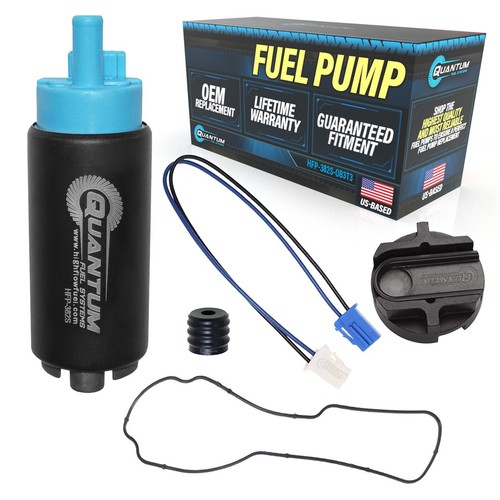 Qfs marino efi - qfs,