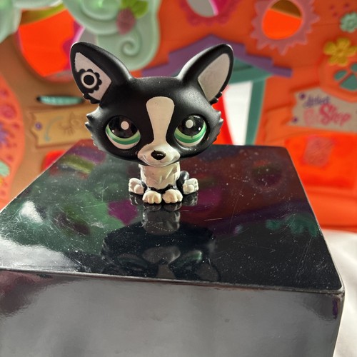 Littlest pet shop autentico - littlest,