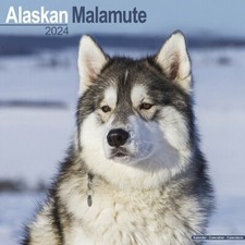 Calendrier 2024 - ALASKAN