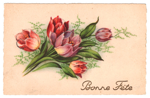 Bonne fête tulipani - -,