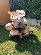 Moto elettrica vespa 12v peg - elettrica,