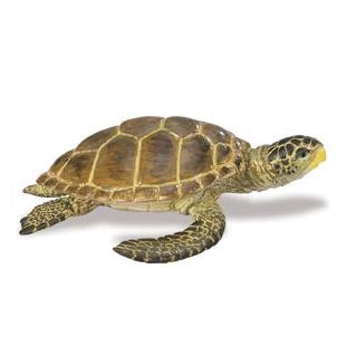 Safari ltd 220229 tartaruga - safari,