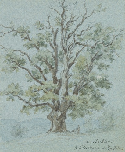 Alvensleben albero - (*1831),,
