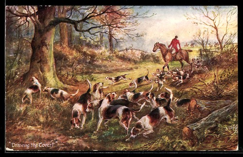 Cartolina cani caccia alla - cartolina, da