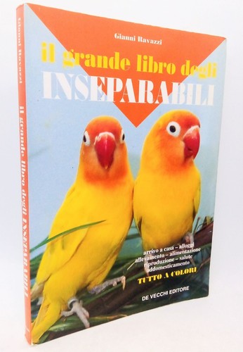 Grande libro degli - grande,
