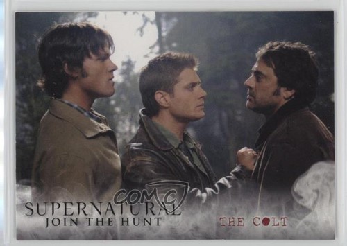 2014 cryptozoic supernatural - cryptozoic,