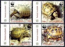 Armenia 2007 WWF Tartaruga Russa Tartarughe Animali Natura Fauna Selvatica Set 4v MNH