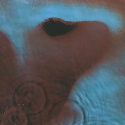 Pink floyd meddle textured - meddle,