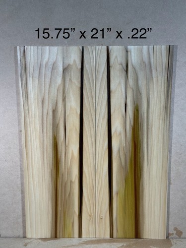 Top per chitarra pioppo