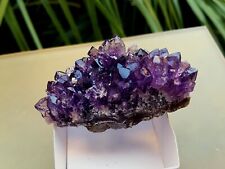 ► DRUSA  AMETISTA  CM. 7.19