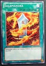 SALAMANDRA Comune in Italiano