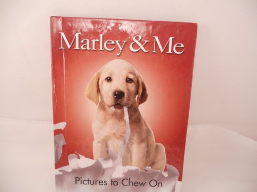 Marley pictures to chew - me,