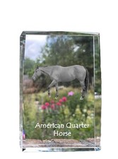 Americani Quarter Horse -