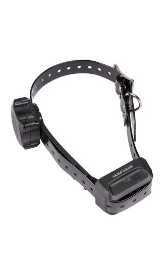 Collier seul canicom voice - collier,